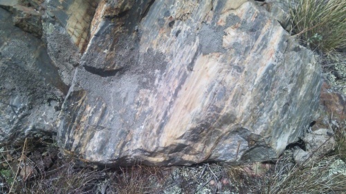 Гигантские зелёные валуны для ландшафтного дизайна весом более 5 тонн купить в Иркутской области