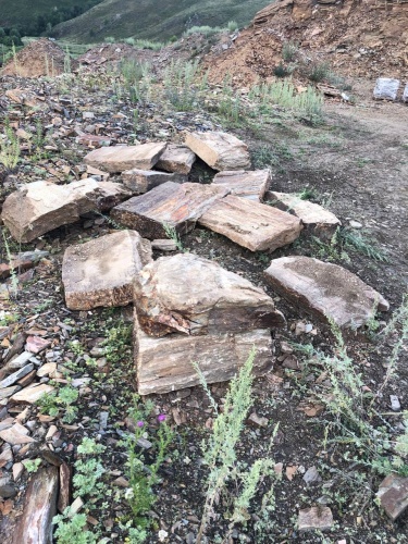 Плитняк кора дерева 50-100мм для пошаговых дорожек купить в Иркутской области